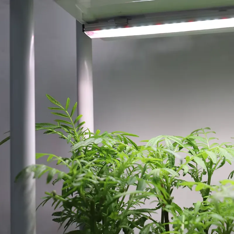 Smart Garden Vertical Planter - กล่องปลูกต้นไม้แบบเคลื่อนย้ายได้ 3 ชั้น พร้อมระบบรดน้ำอัตโนมัติ ระบบปลูกพืชสมุนไพรในร่มพร้อมไฟส่องสว่าง
