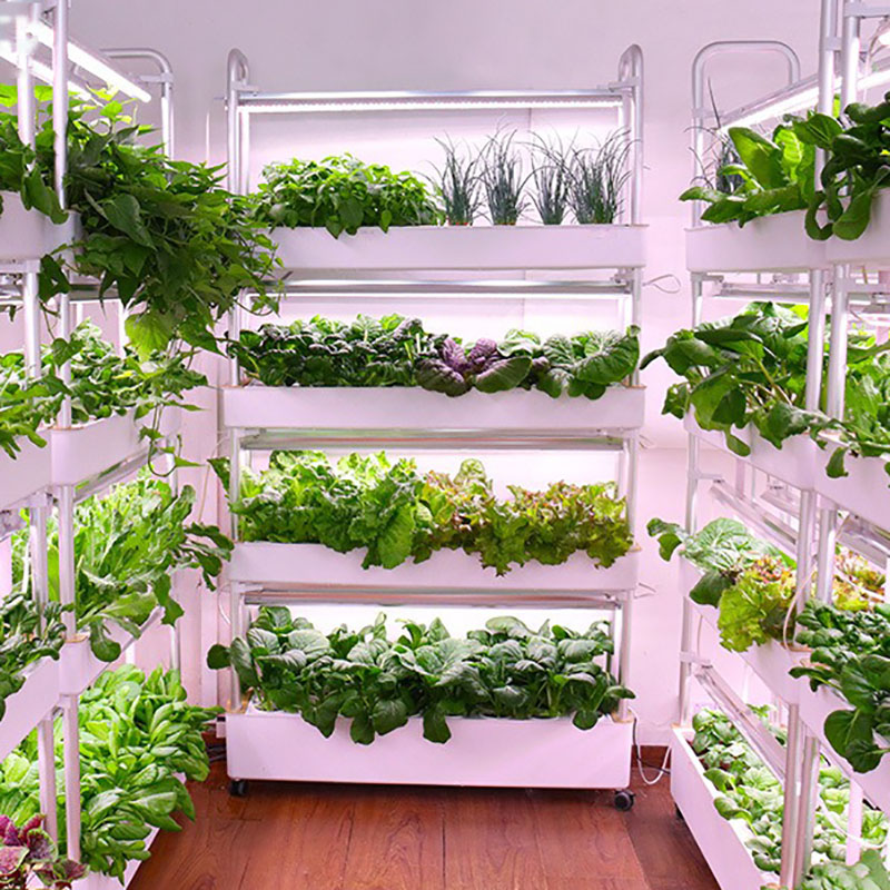 Smart Garden Vertical Planter - ระบบปลูกไฮโดรโปนิกส์แนวตั้งสมาร์ทปลูกในร่มการเพาะปลูกไฮโดรโปนิกส์สวนในครัวเรือนชาวไร่พืชการเพาะปลูกทาวเวอร์