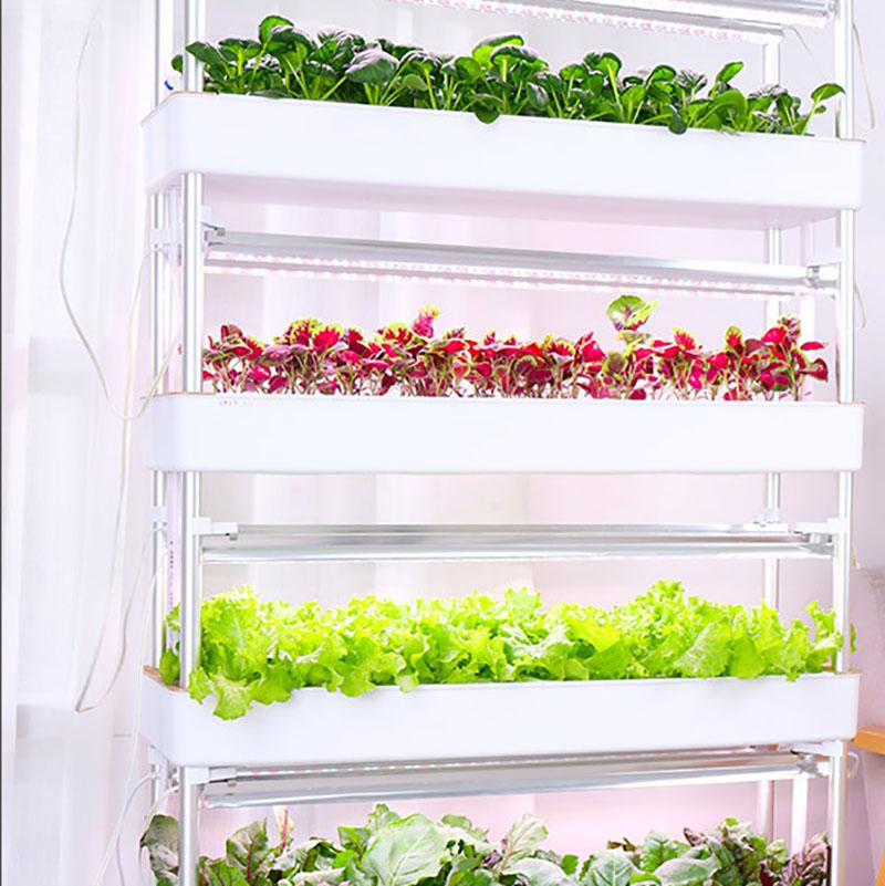 ระบบปลูกไฮโดรโปนิกส์แนวตั้งสมา - Smart Garden Vertical Planter บทวิจารณ์และราคา