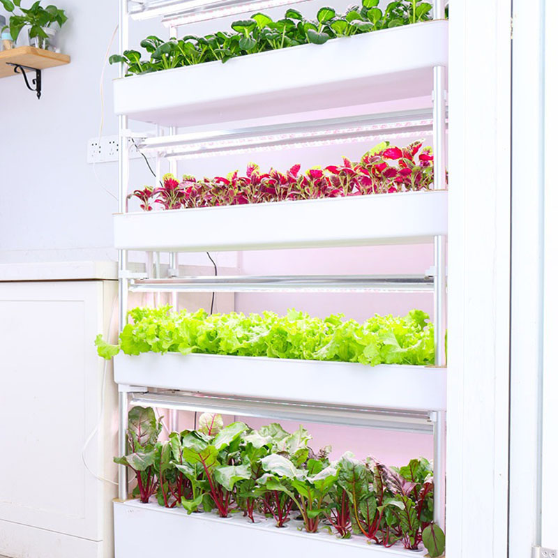 ระบบปลูกไฮโดรโปนิกส์แนวตั้งสมา - Smart Garden Vertical Planter บทวิจารณ์และราคา