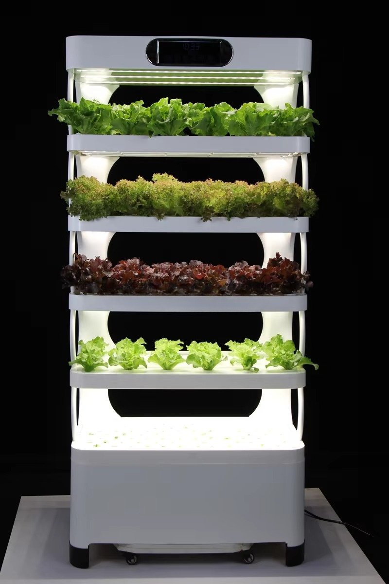 ชุดปลูกสมุนไพรอัจฉริยะในบ้าน ร - Aquaponics Home Kit บทวิจารณ์และราคา