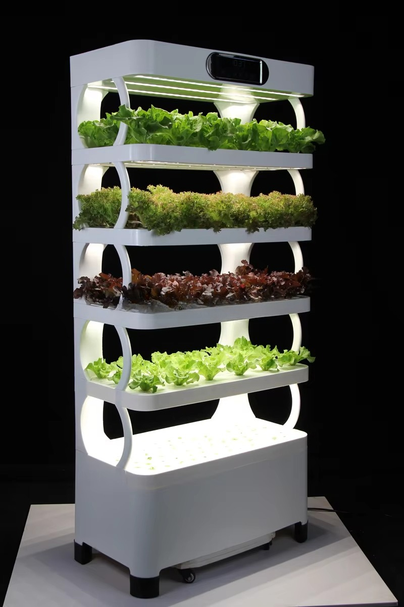 ชุดปลูกสมุนไพรอัจฉริยะในบ้าน ร - Aquaponics Home Kit บทวิจารณ์และราคา