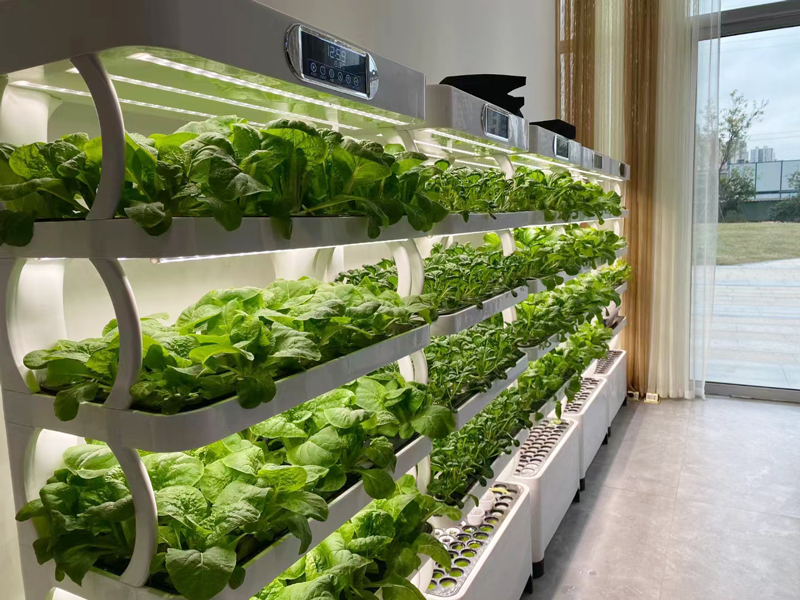 ชุดปลูกผักไฮโดรโปนิกส์ในบ้านขน - Smart Garden Vertical Planter บทวิจารณ์และราคา