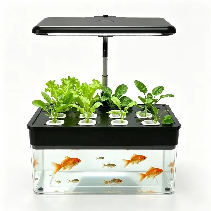 ระบบปลูกพืชแบบไฮโดรโปนิกส์ 12  - Aquaponics Home Kit บทวิจารณ์และราคา